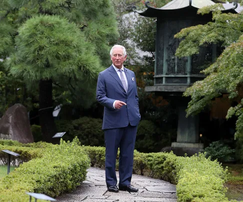 prince charles in japan