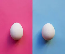 Three Kiwi women talk frankly about their experiences of fertility treatment