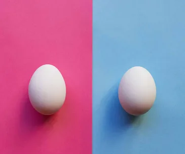 Three Kiwi women talk frankly about their experiences of fertility treatment