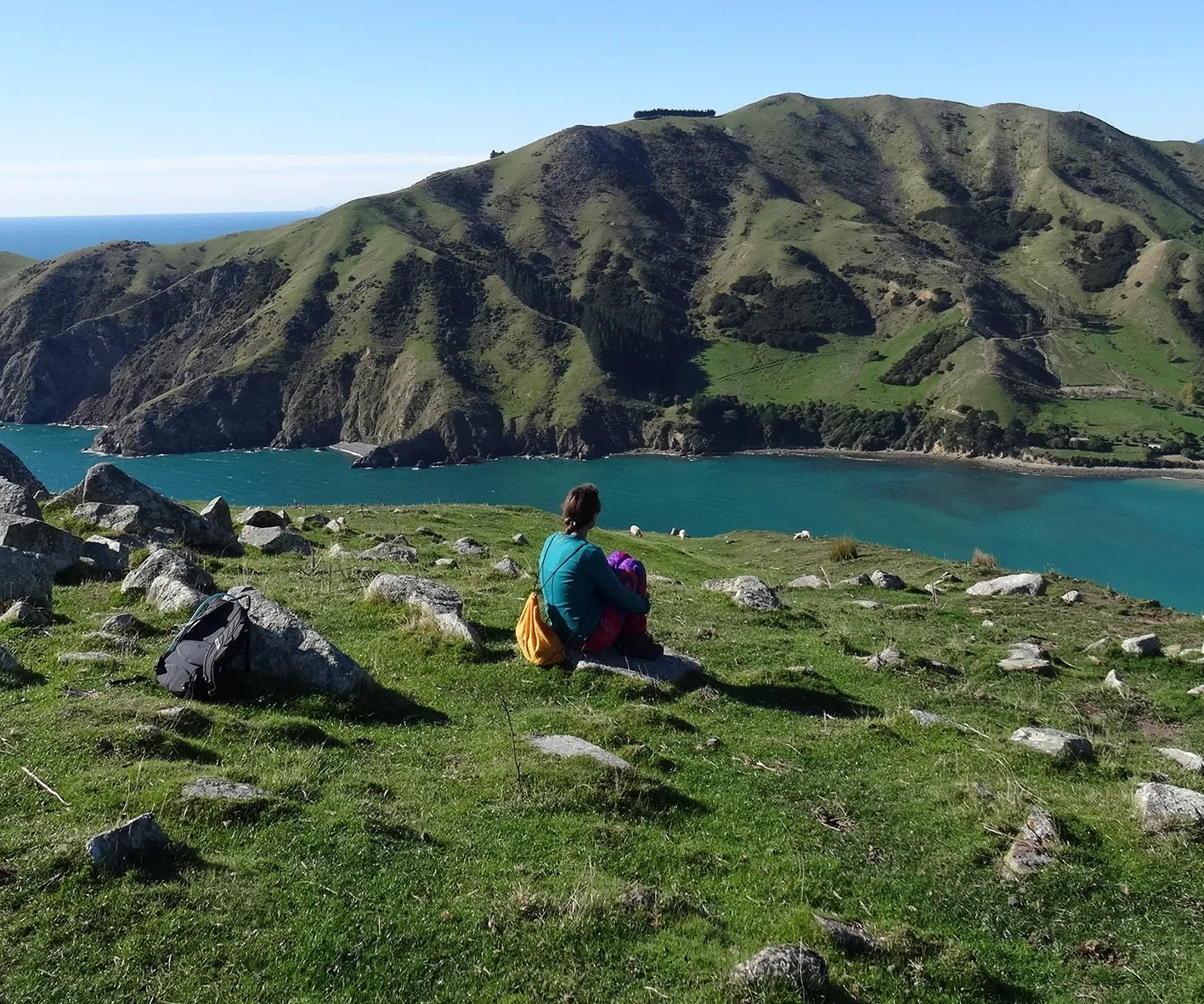 Cable Bay walkway Nelson