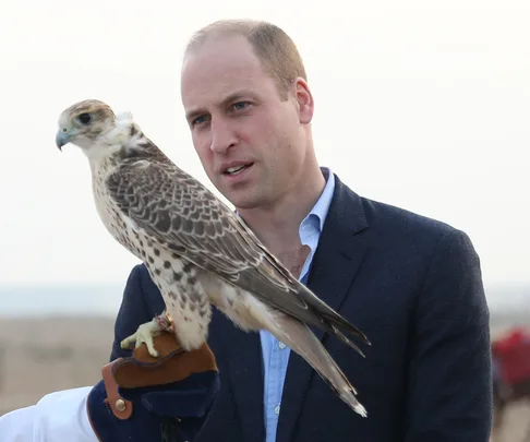 prince william kuwait