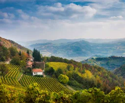 I’m living my own chick flick movie: The Kiwi divorcee who bought a house in a tiny Italian village