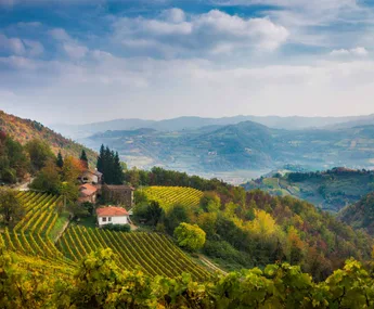 I’m living my own chick flick movie: The Kiwi divorcee who bought a house in a tiny Italian village