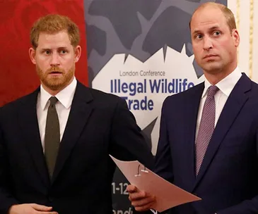 prince harry prince william