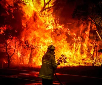 Facing the fiery inferno: Kiwi family’s frightening Aussie bushfire ordeal