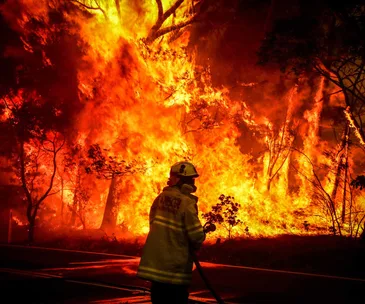 Facing the fiery inferno: Kiwi family’s frightening Aussie bushfire ordeal