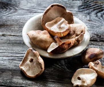 Pile of mushrooms