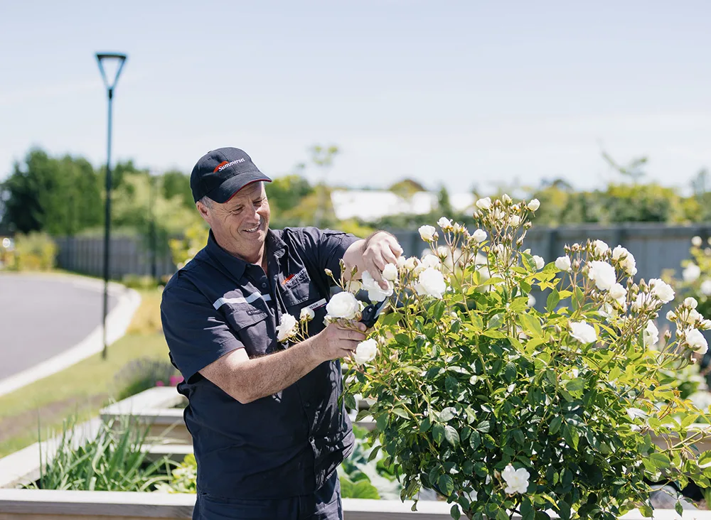 Gardener in uniform pruning roses outdoors on a sunny day.