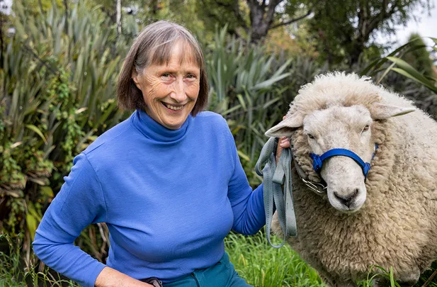 A woman in a blue sweater smiles beside a sheep with a blue halter, standing in a lush, green garden.