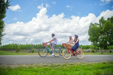 Three people cycling with helmets on a rural road, green vineyard, and trees in the background under a blue sky.