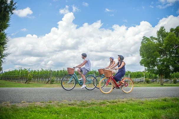 Three people cycling with helmets on a rural road, green vineyard, and trees in the background under a blue sky.