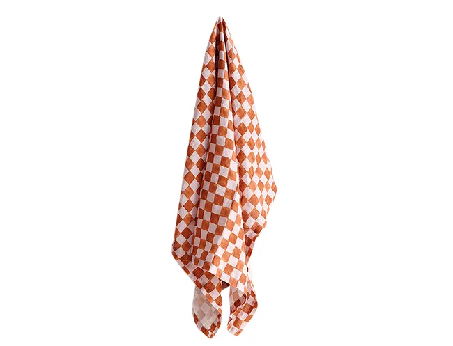 Red and white checkered tea towel hanging against a white background.