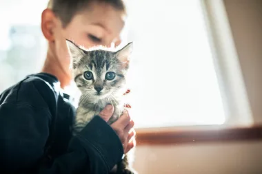 Boy holding a gray striped kitten by a window, backlit with soft light.