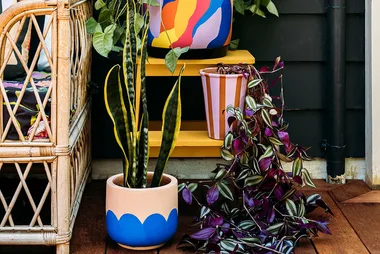 Rattan chair and colorful plant pots on a wooden deck with various indoor plants.