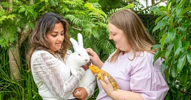 Sharon’s pet project ‘No animal left behind’