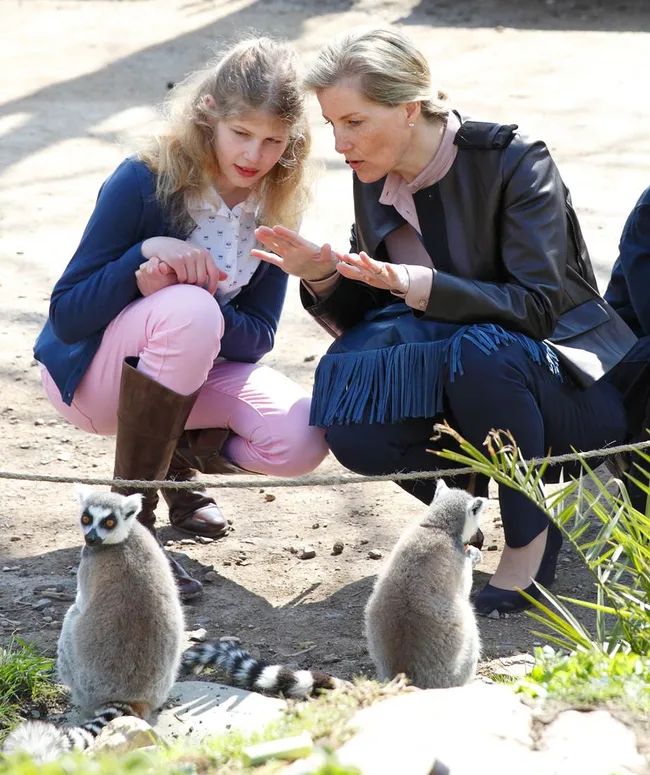 Two people crouch near lemurs, observing them closely in an outdoor setting.