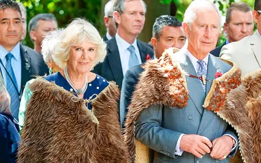 Kiwis and the King