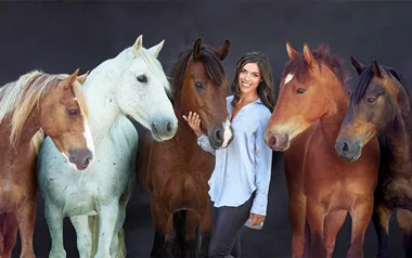 Kelly Wilson is back in the saddle and saving wild horses