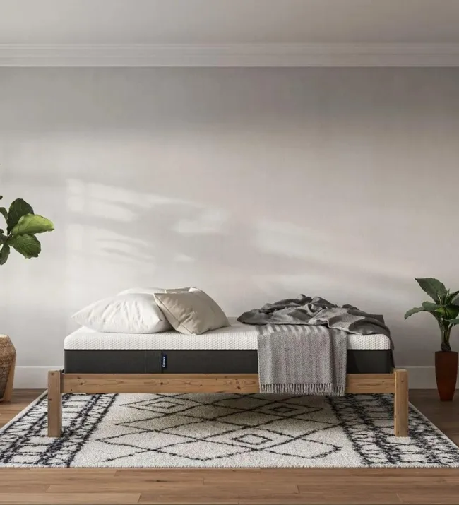 Wooden bed frame with mattress, pillows, and gray throw blanket on a patterned rug. Two potted plants on each side.
