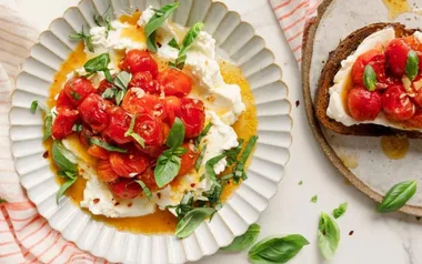 Plate of roasted cherry tomatoes with fresh basil on ricotta, and a slice of bread with the same toppings.