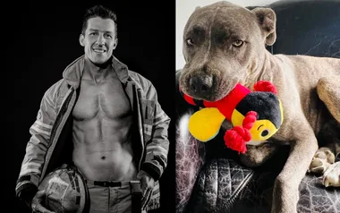 Firefighter in gear holding helmet and a relaxed dog with a colorful toy, side by side images.