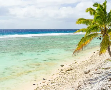 Tropical beach with clear turquoise water, rocky shoreline, and a palm tree under a partly cloudy sky.