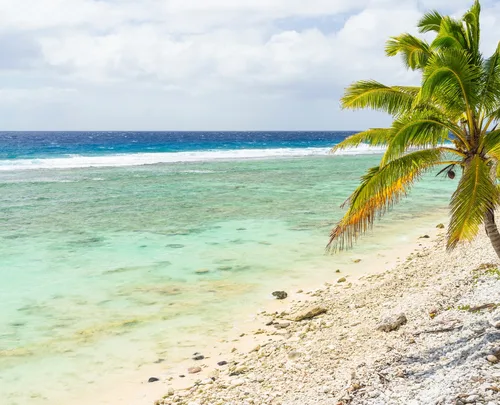 Tropical beach with clear turquoise water, rocky shoreline, and a palm tree under a partly cloudy sky.