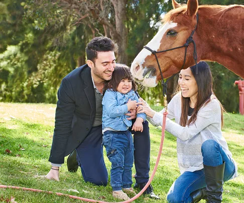 My horse taught me to talk!