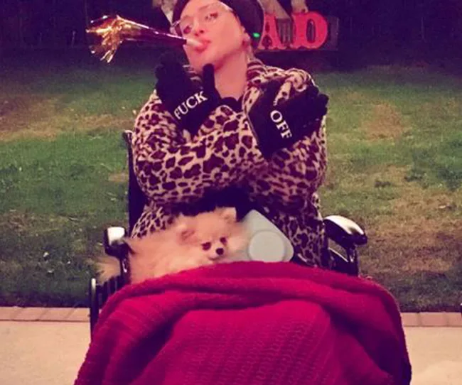 Person in leopard print, hat, and gloves with "F" and "OFF," in wheelchair with Pomeranian and party blower.