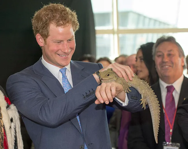 Man in a suit smiling while holding a Tuatara lizard on his arm in a crowded indoor setting.