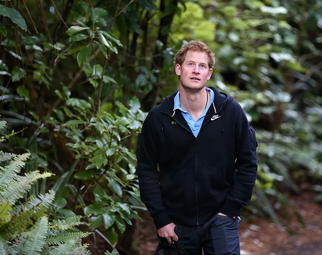A person in a black jacket outdoors under green foliage, looking upwards.