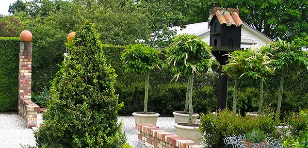 Garden-height