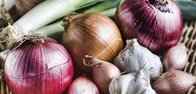 How to grow onions
