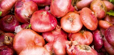 Simon Gault: Cipolline onions