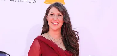 The Big Bang Theory star to divorce.