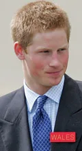 Harry cleared of cheat claim