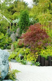 The beauty of a Japanese Garden