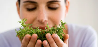 Herbal health