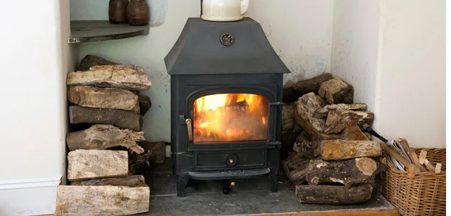 Fireplace and wood