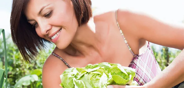 Growing your own lettuce