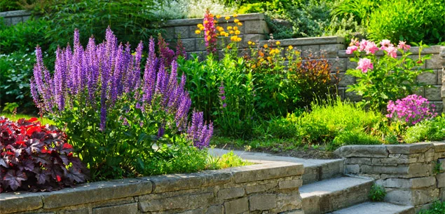 Tips for co-ordinating colours in your garden