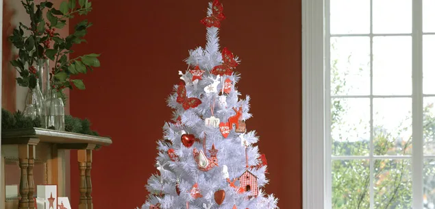 Ideas for decorating your home this Christmas