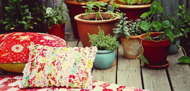 Tips for potting plants
