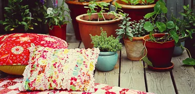Tips for potting plants