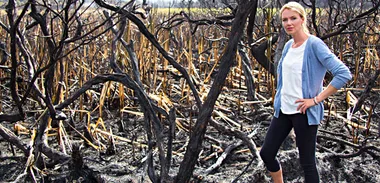 Petra Bagust - 'Our island is burning'