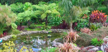 Tips for planting a subtropical garden