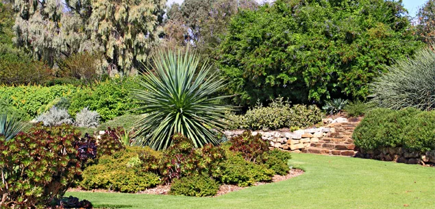 Tips for planting a drought-resistant garden