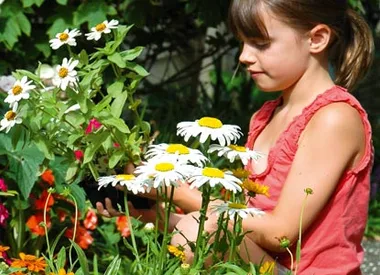 Growing kids