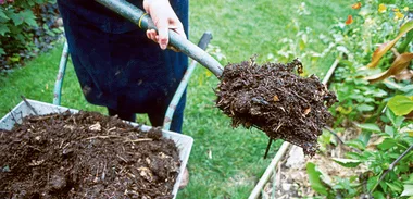 Make your own compost