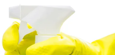Green recipe: Homemade glass cleaner